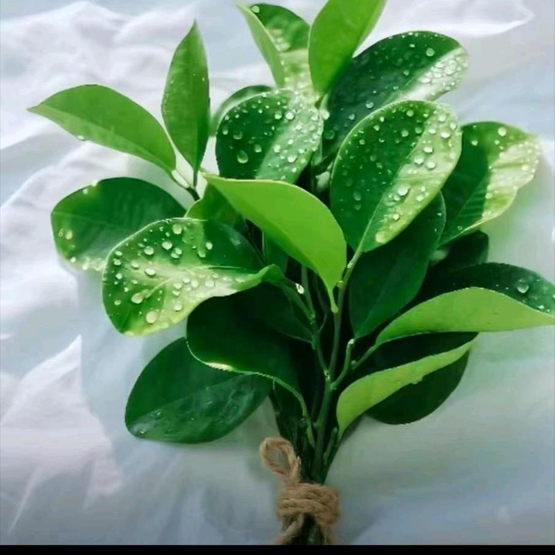 锅烧串，徐三妹