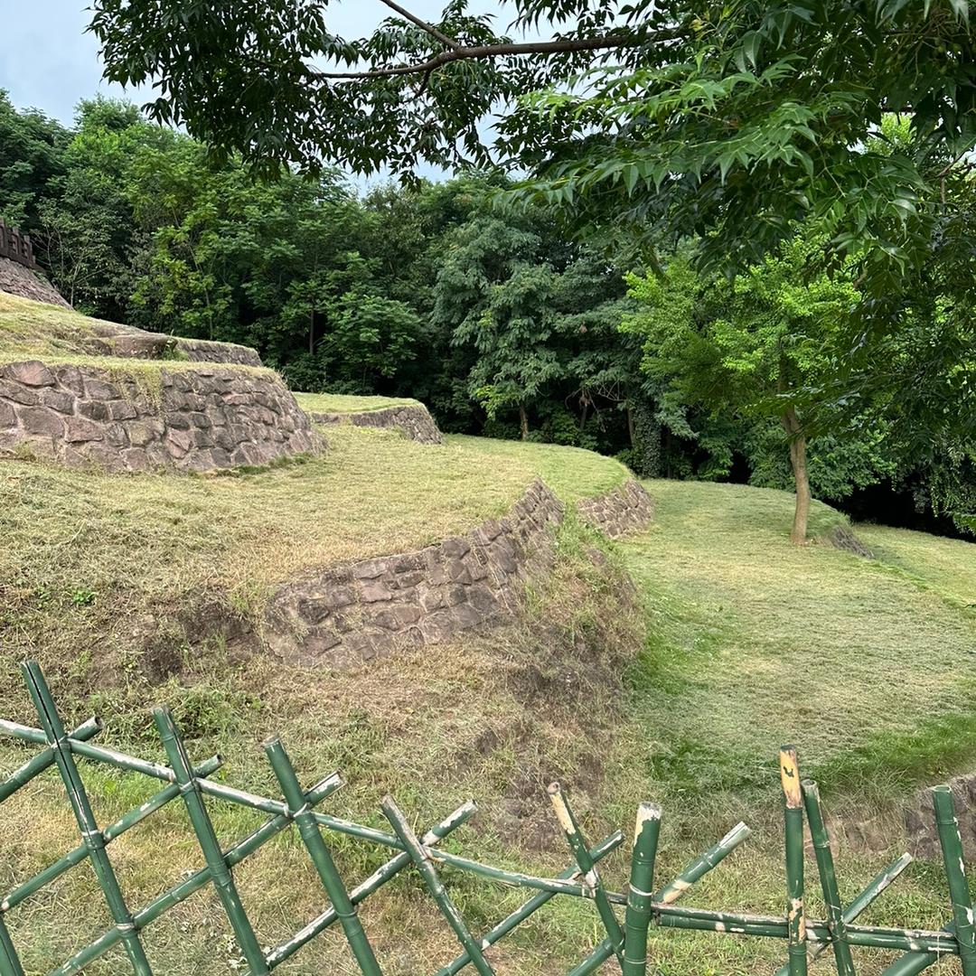 97273960