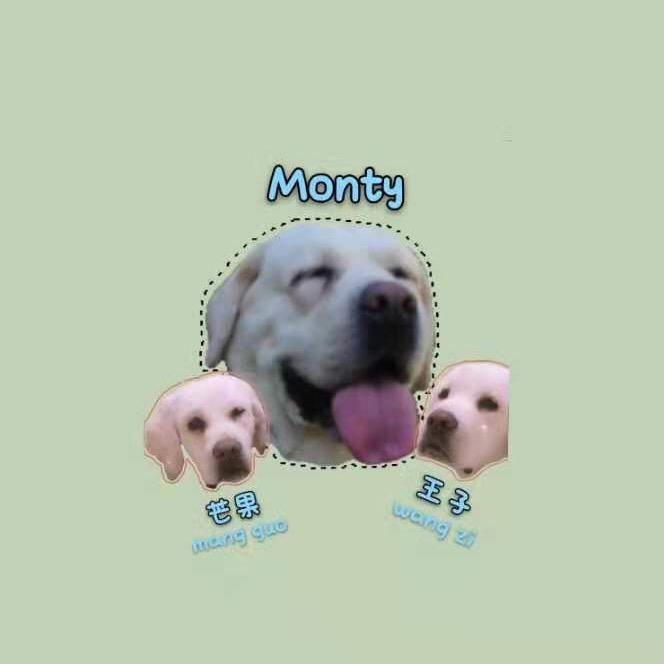 是monty不是monkey
