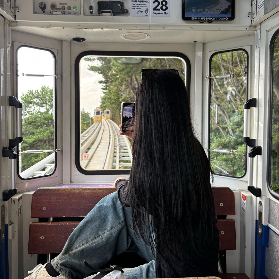 爱摄影的小狮子📷