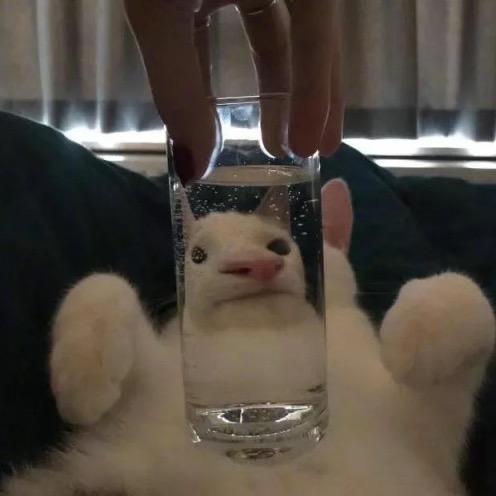 蕨
