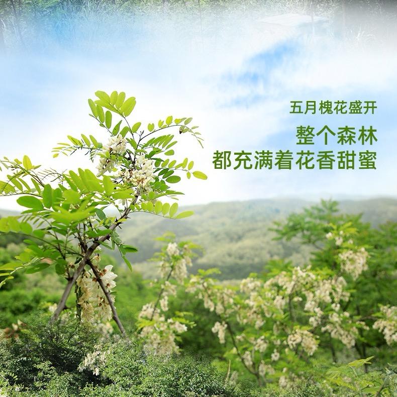 故乡情高原蜜