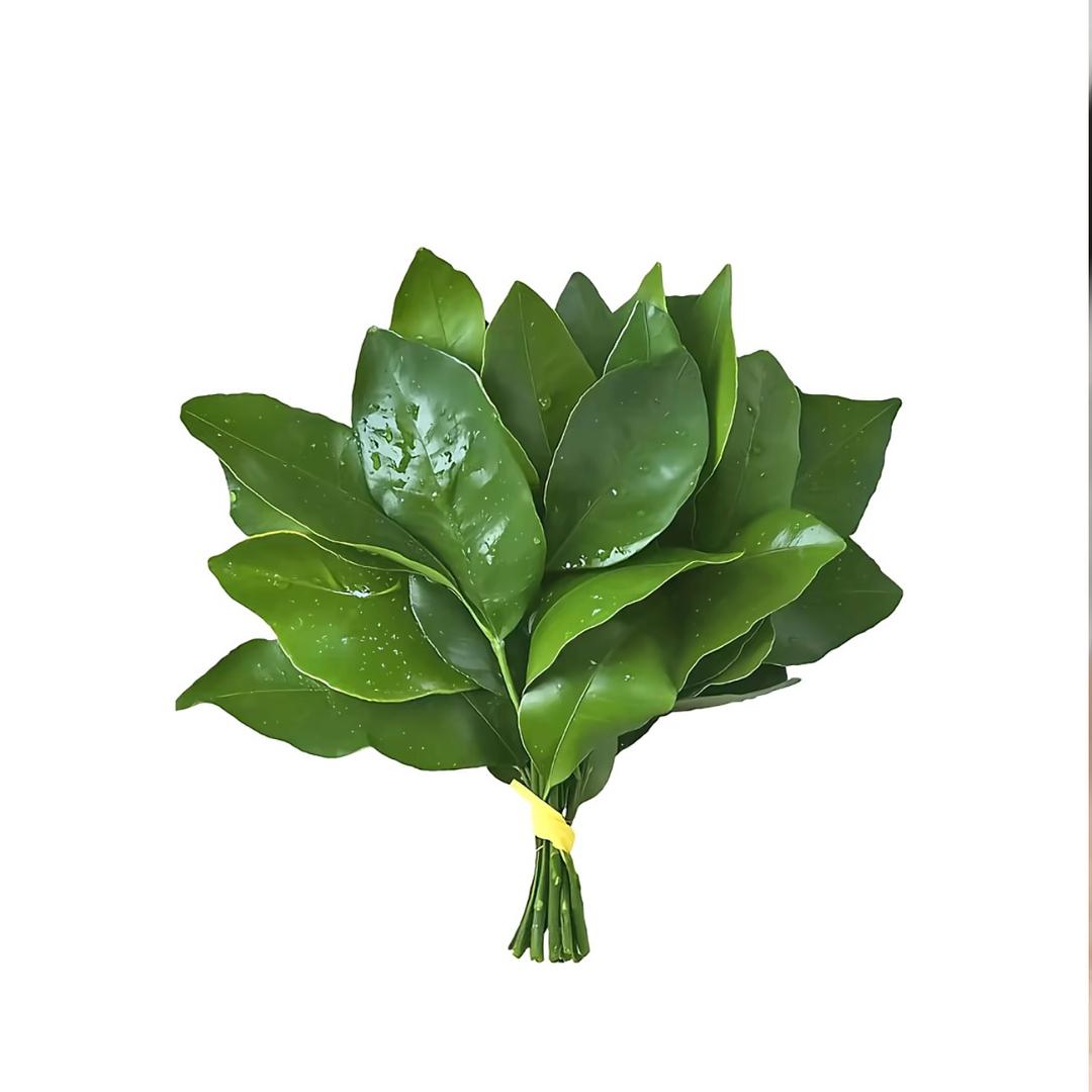 没有双眼皮的小夏