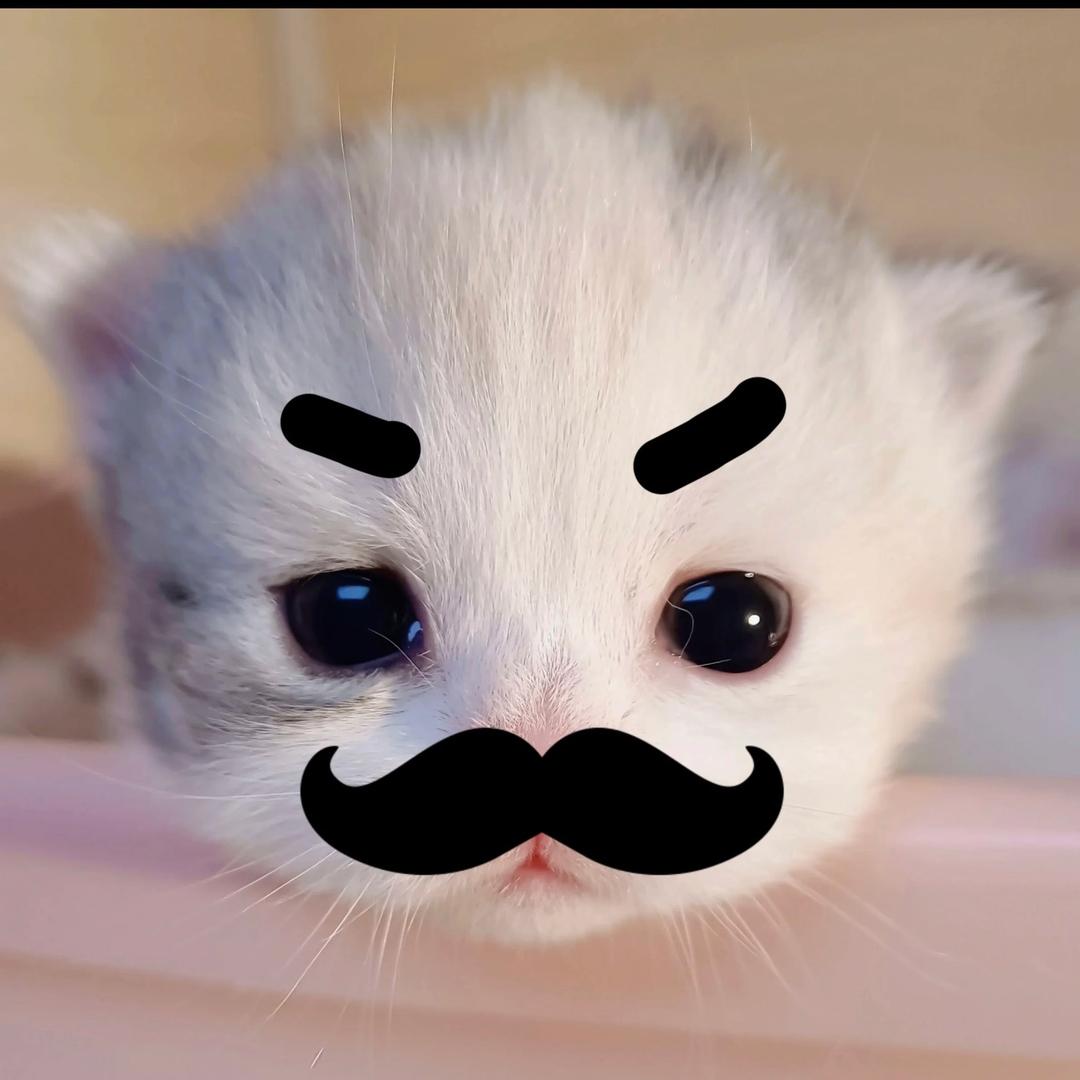 派大喵