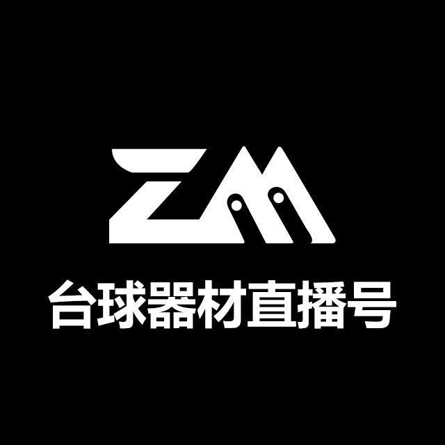 ZM台球