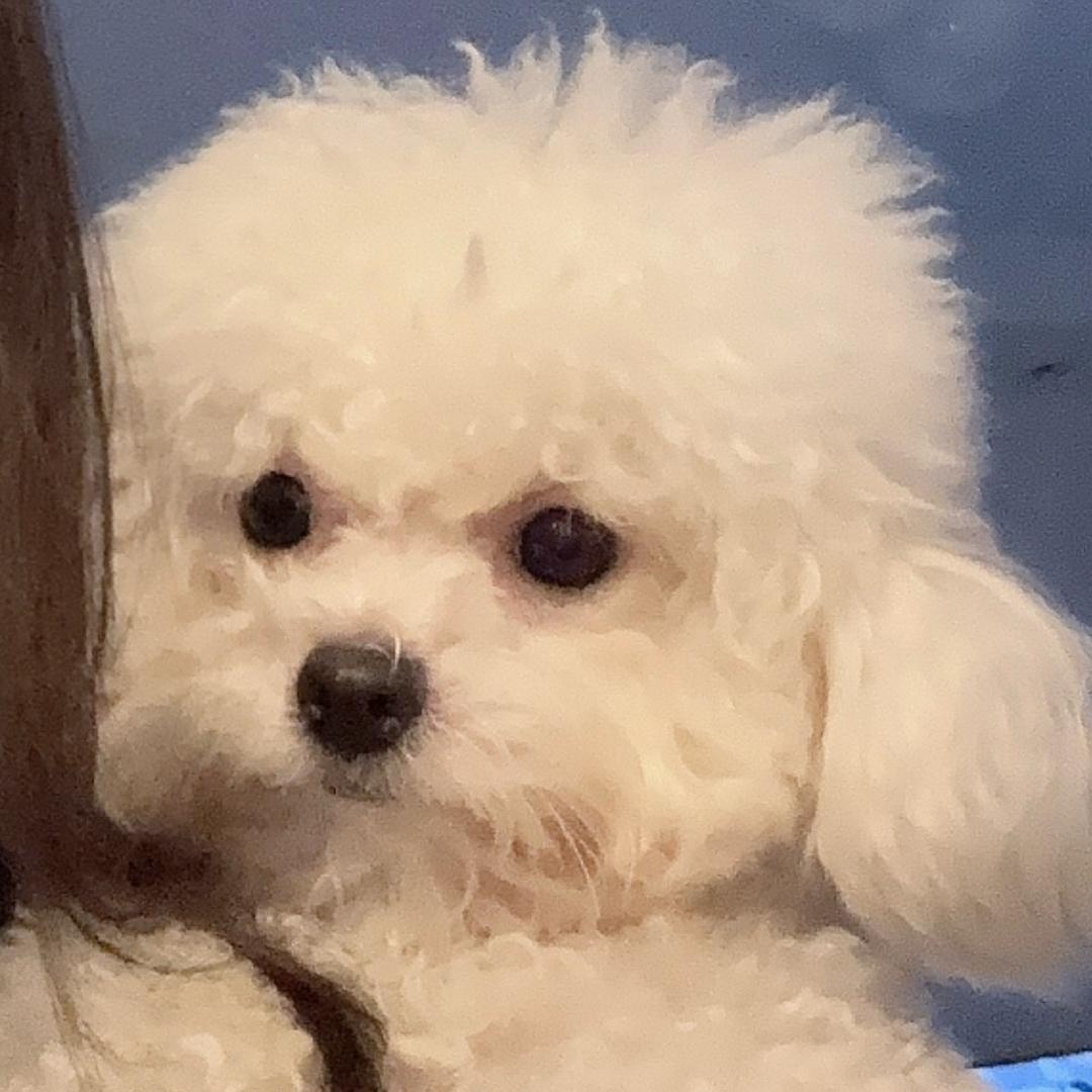 我先卸载咯