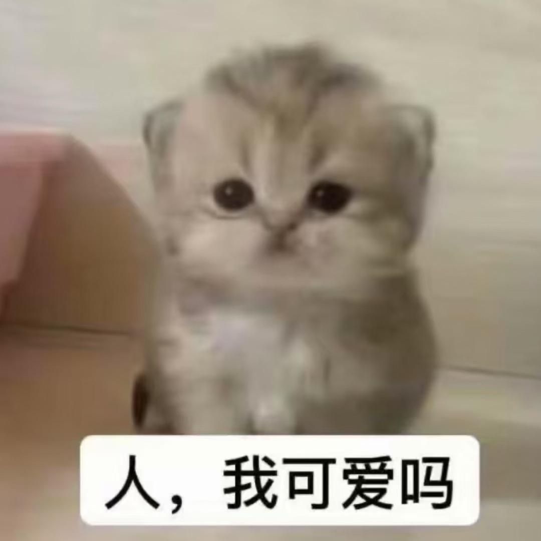 小喵爪