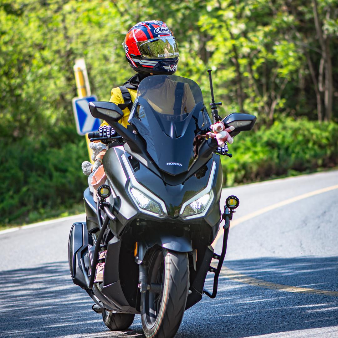 爱骑摩托的🦔刺猬