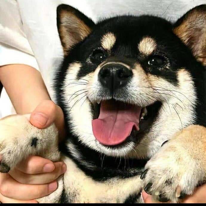 @瓕.