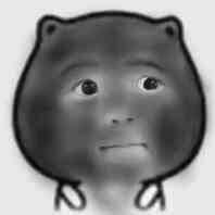 小灰灰的灰
