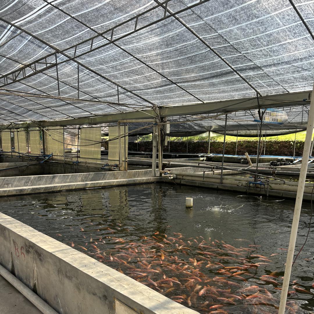 佛山市南海区舒乐乐水产品经营部