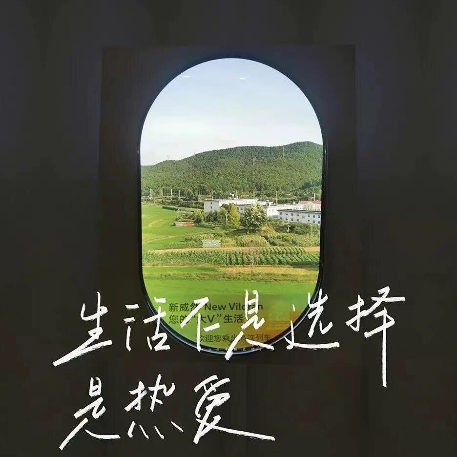 @辉哥优选