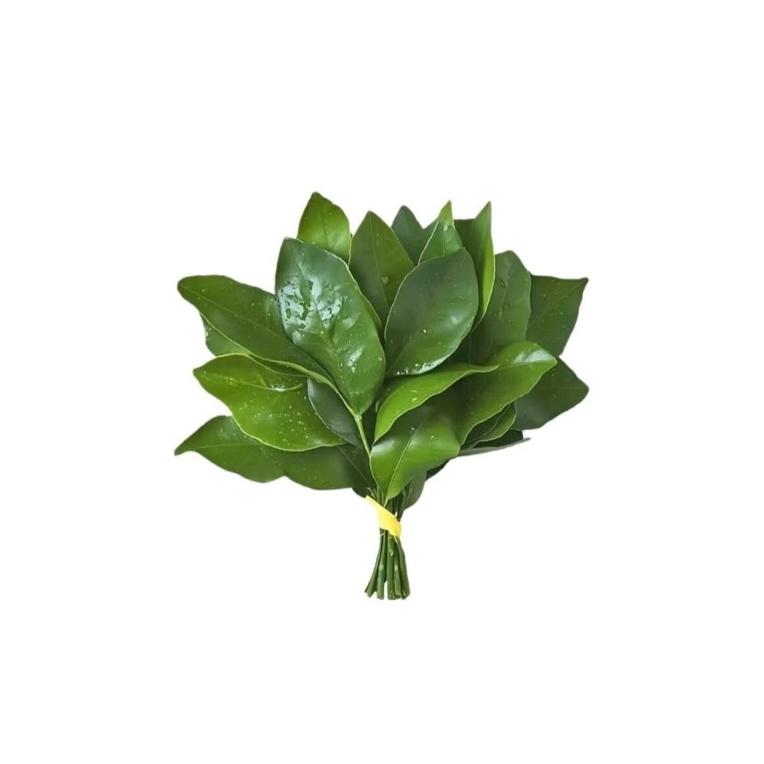 卋罖