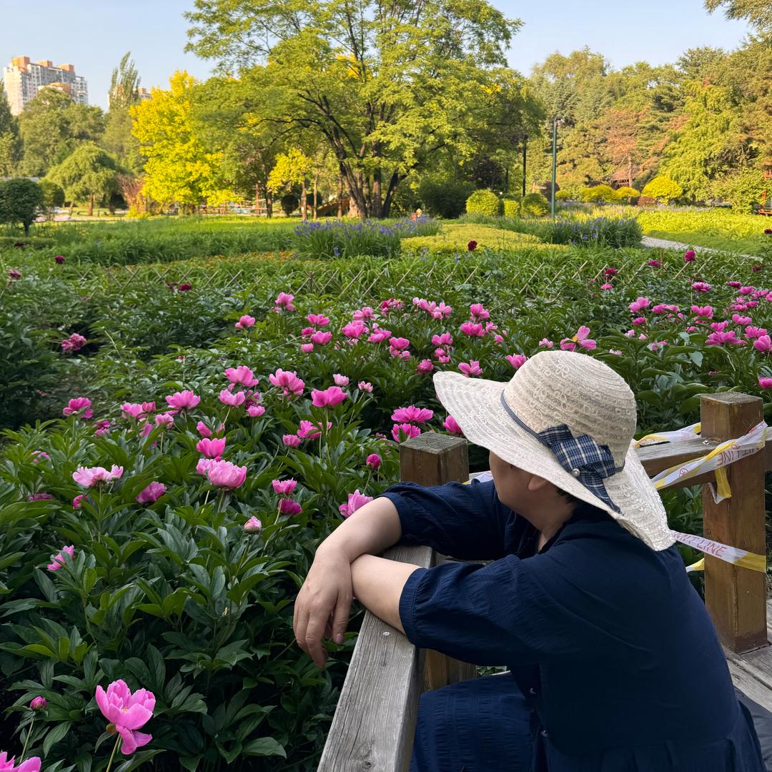 卢女士（能文能武版）