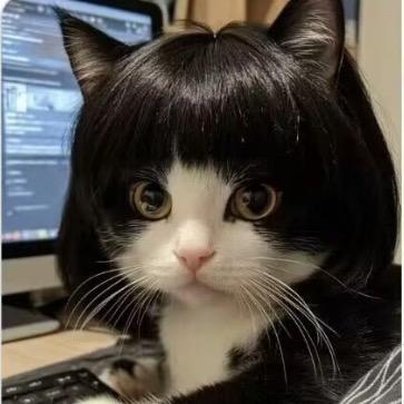 泡泡大王