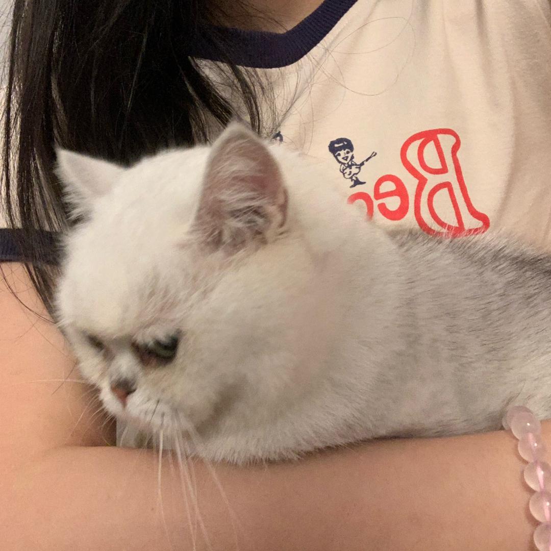 小甜酒