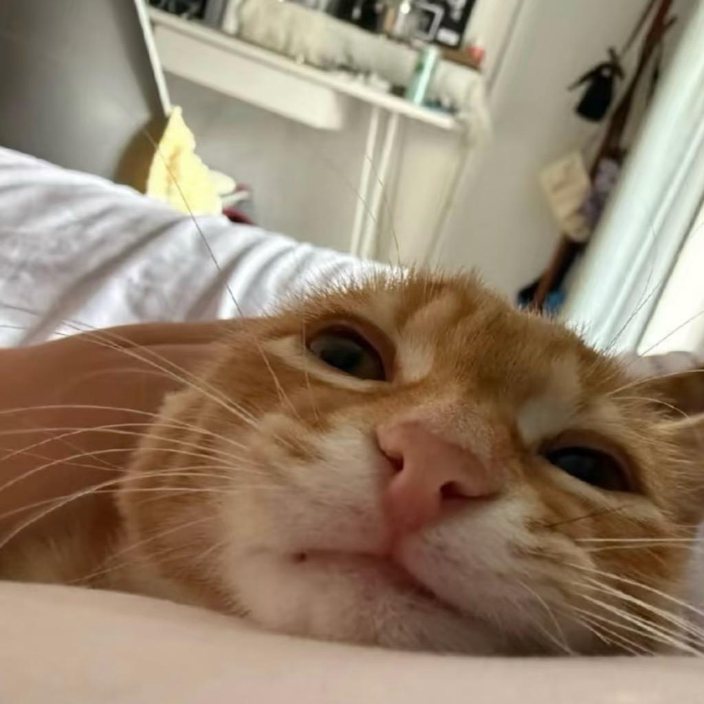 超级猛男-