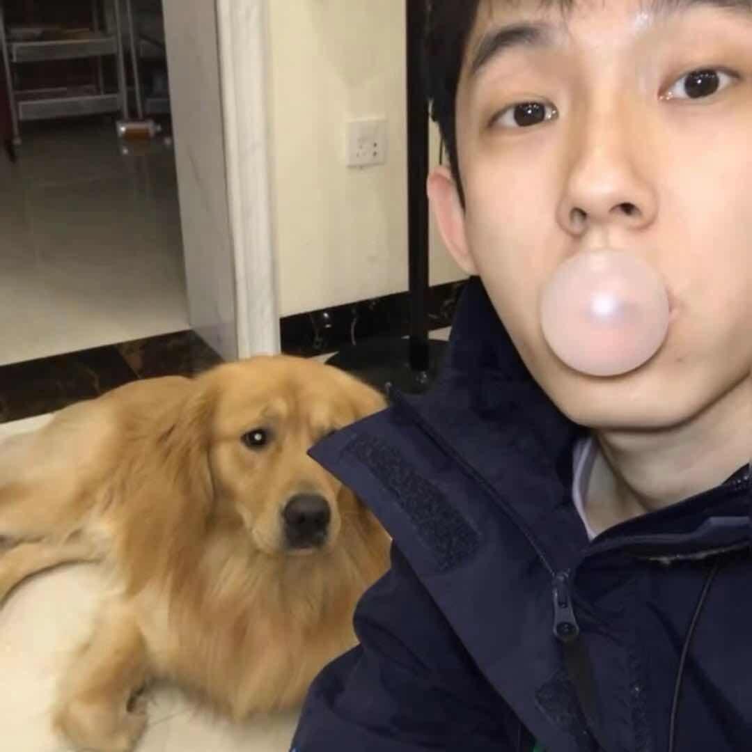 爱吃脆脆鲨