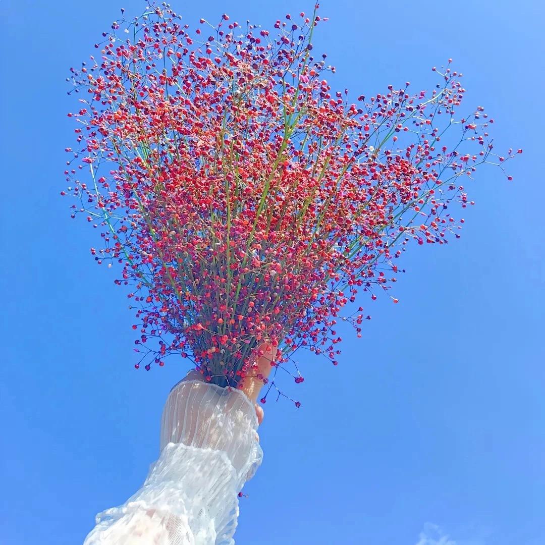 小熊来了