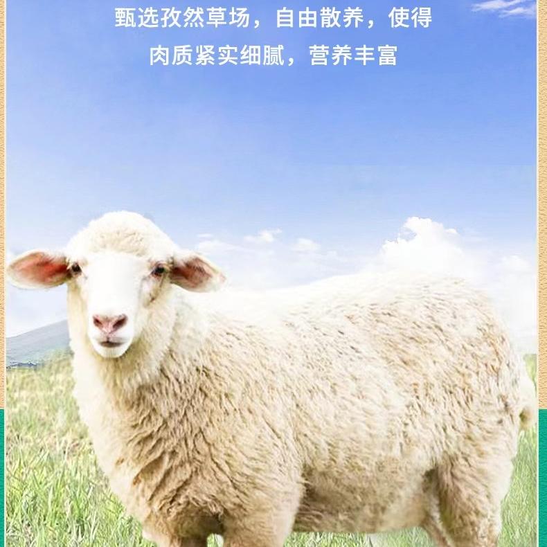 内蒙沁翼原切牛羊肉
