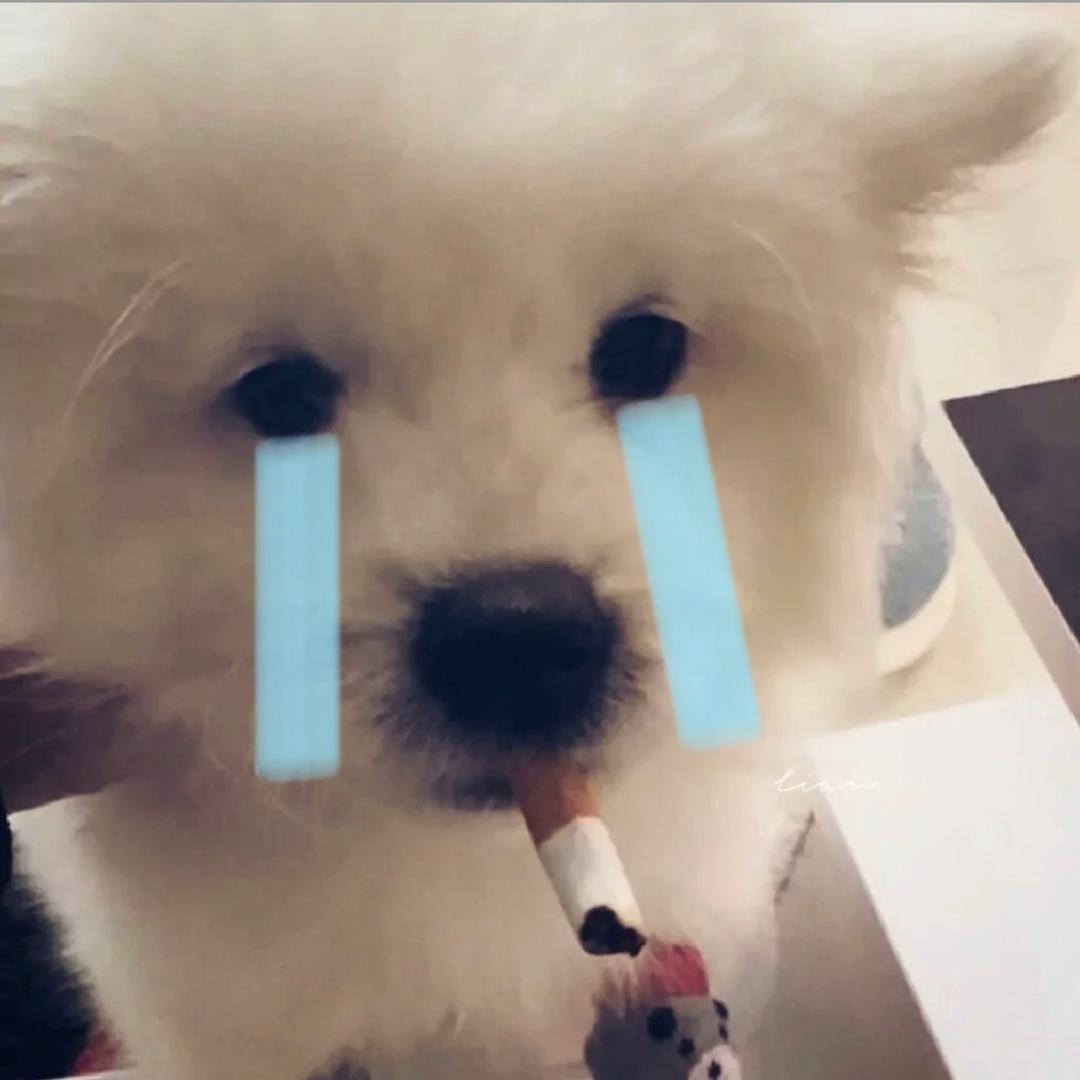 1⃣️個琪.