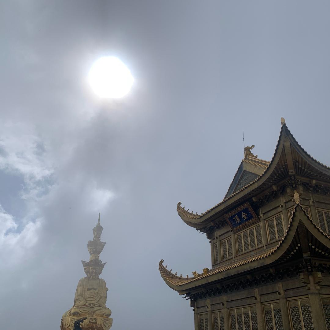 冤种老板的打工日记