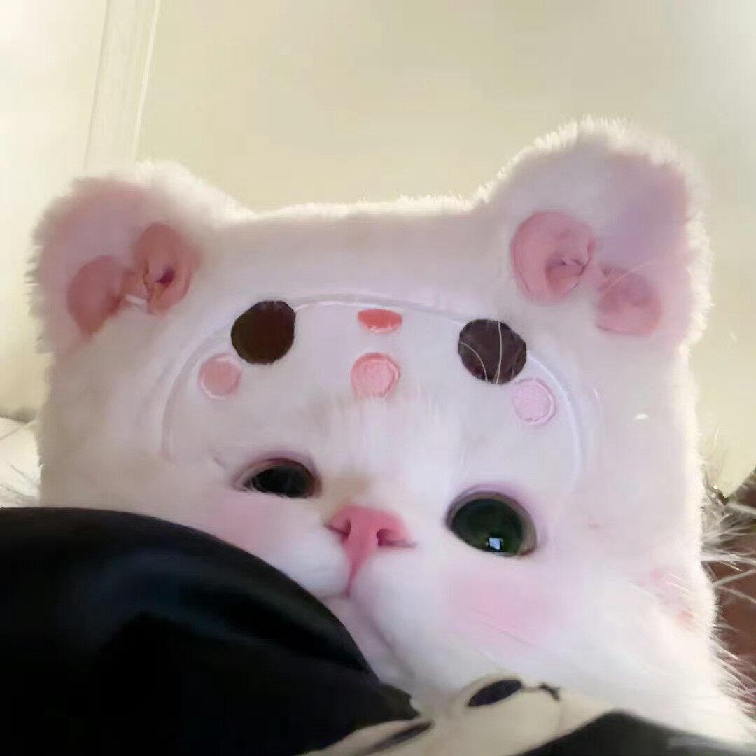 每天都好困^
