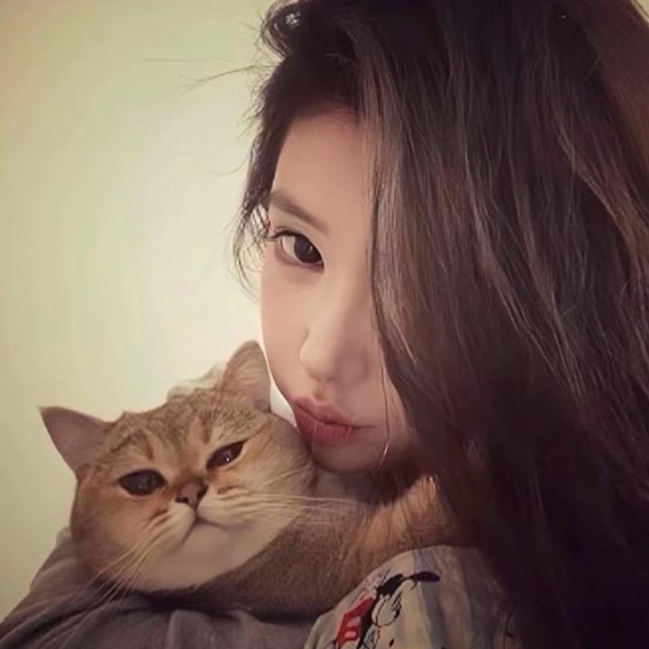 ︋︋︋︋︋   ㅤ 今晚回你家