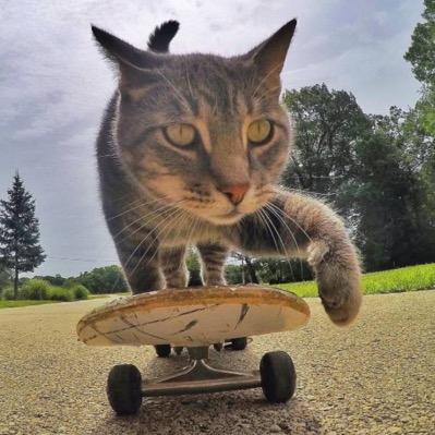 银河护胃队（饿了么优选）