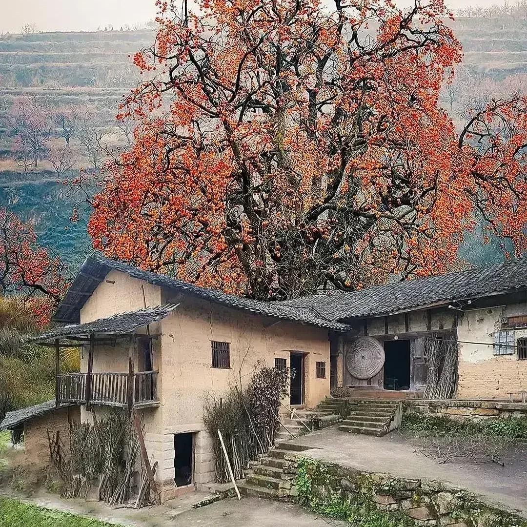 三姐妹