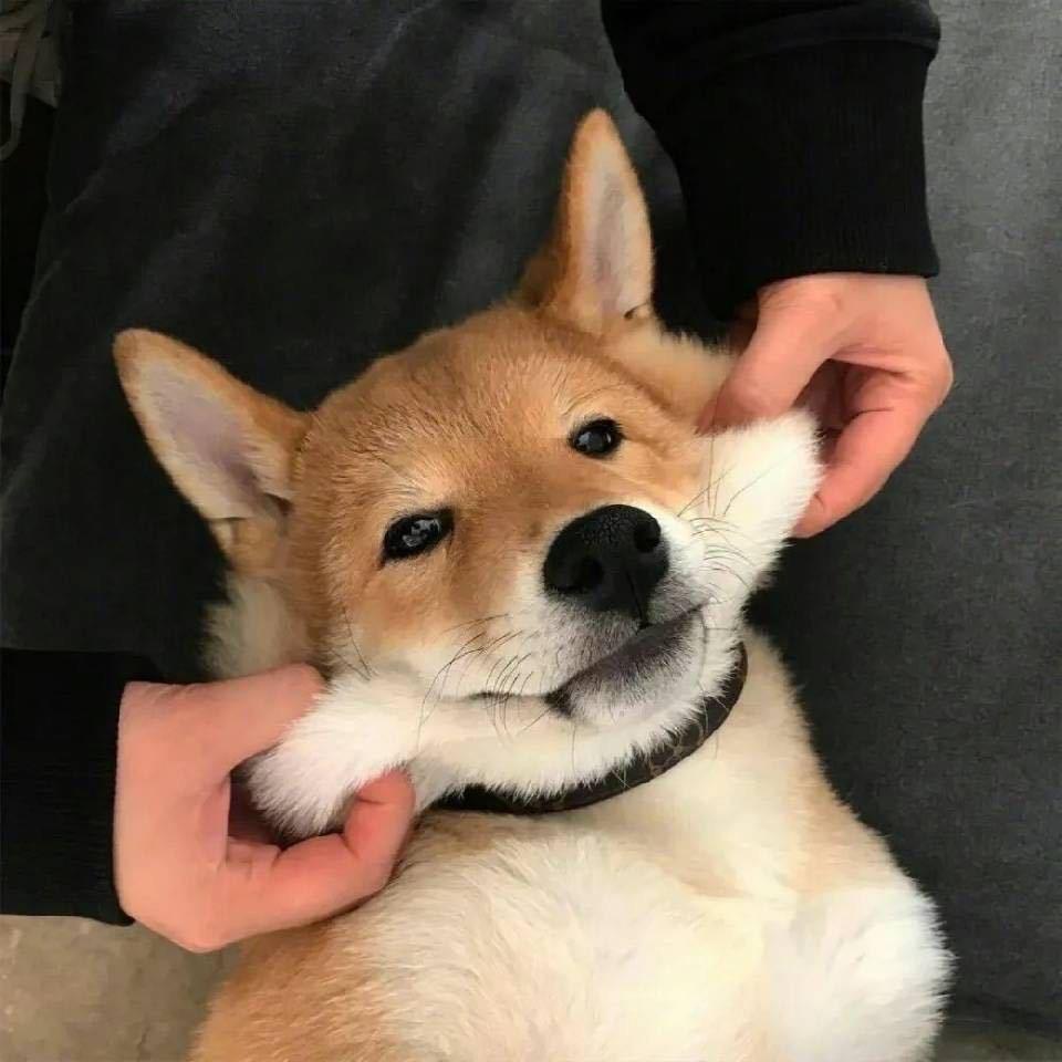 覃哈哈