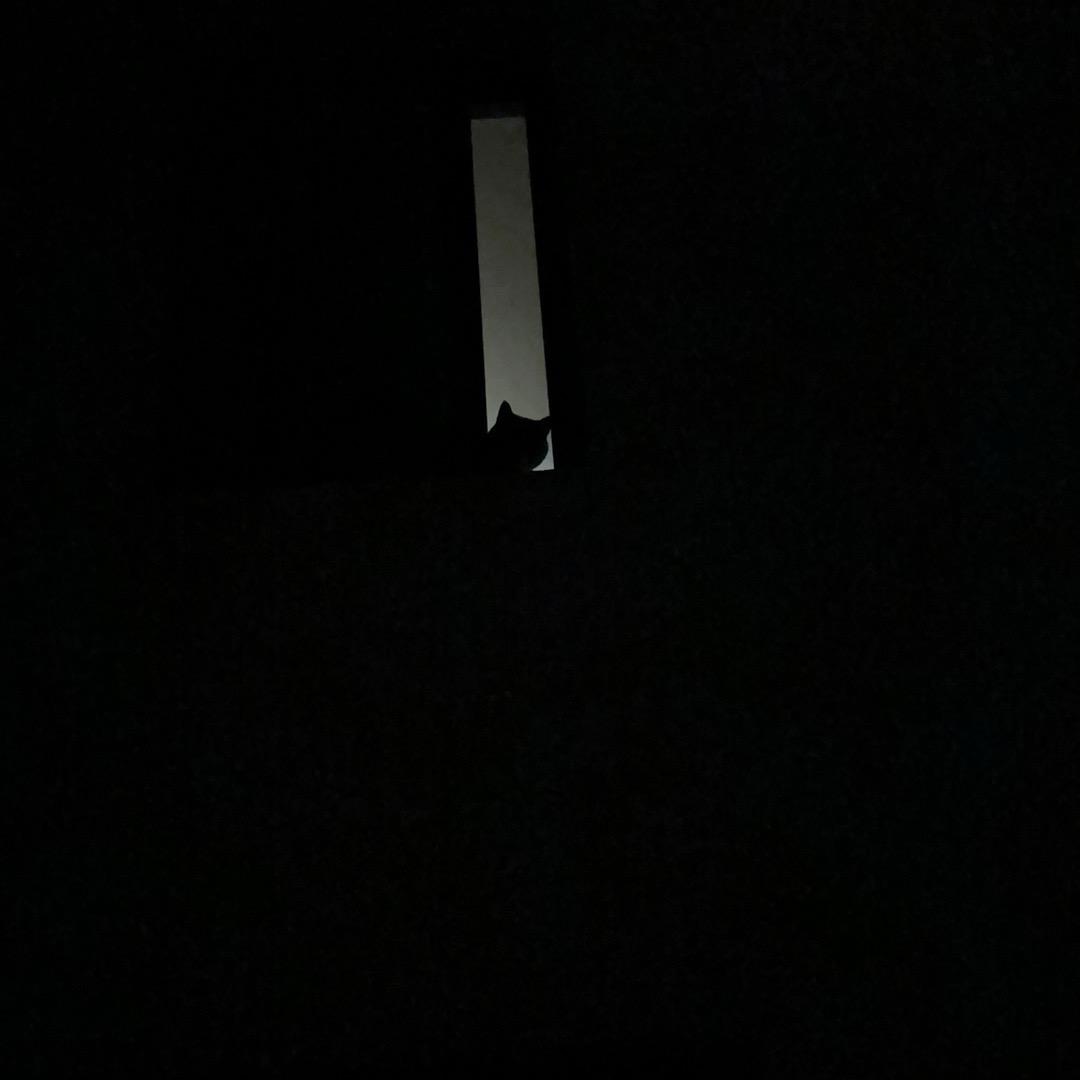 东东去哪了、