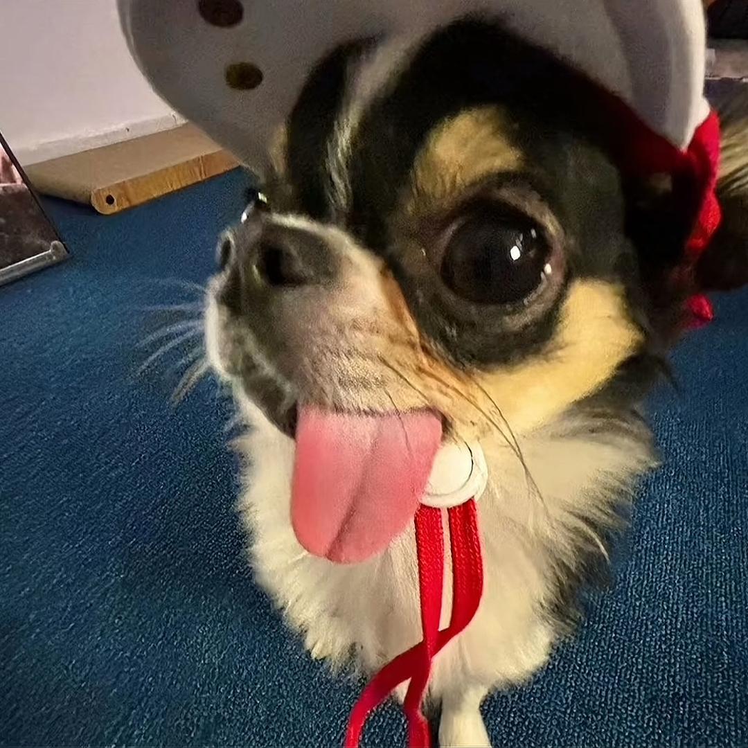 冷屁股