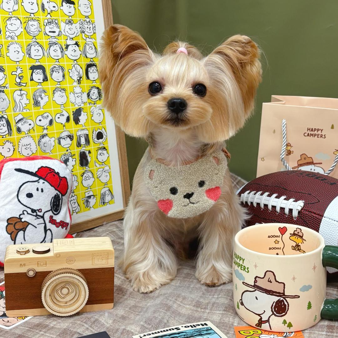 ☆*:.o（淡忘）o.:*☆