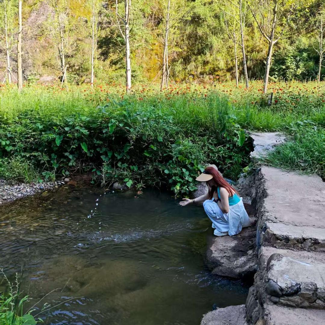 ℳ𝒶 ᥫᩣ苏苏 ®