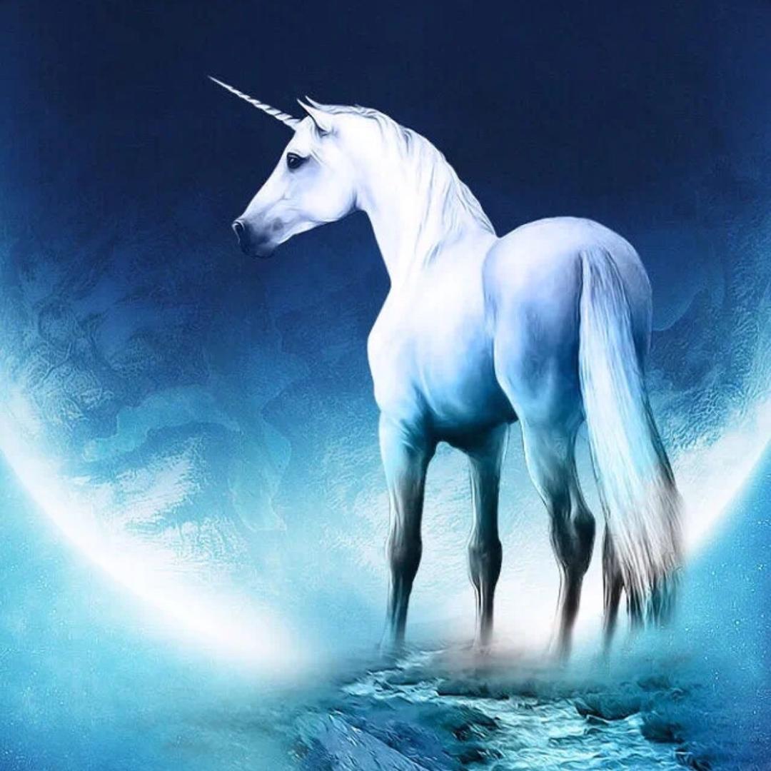 独角兽🦄️🎉