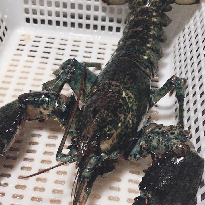 虾客行海鲜批发