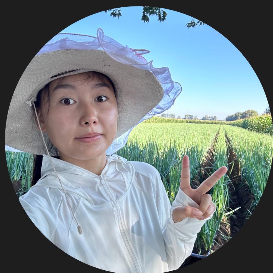 农村小高