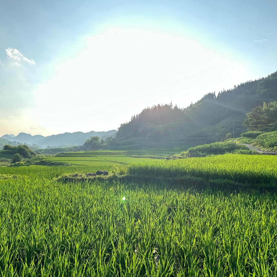 🌼᭄好运ꚸ加满Չᐝ࿐