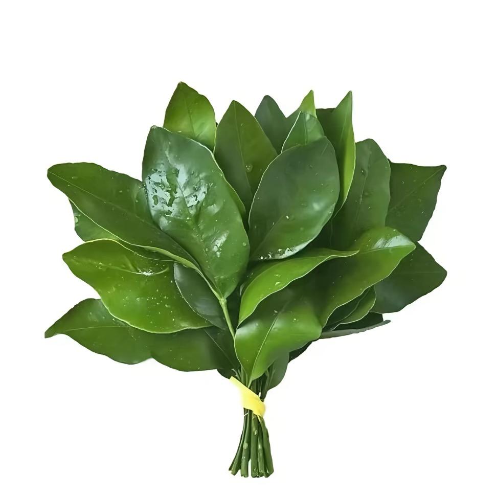 你大爷