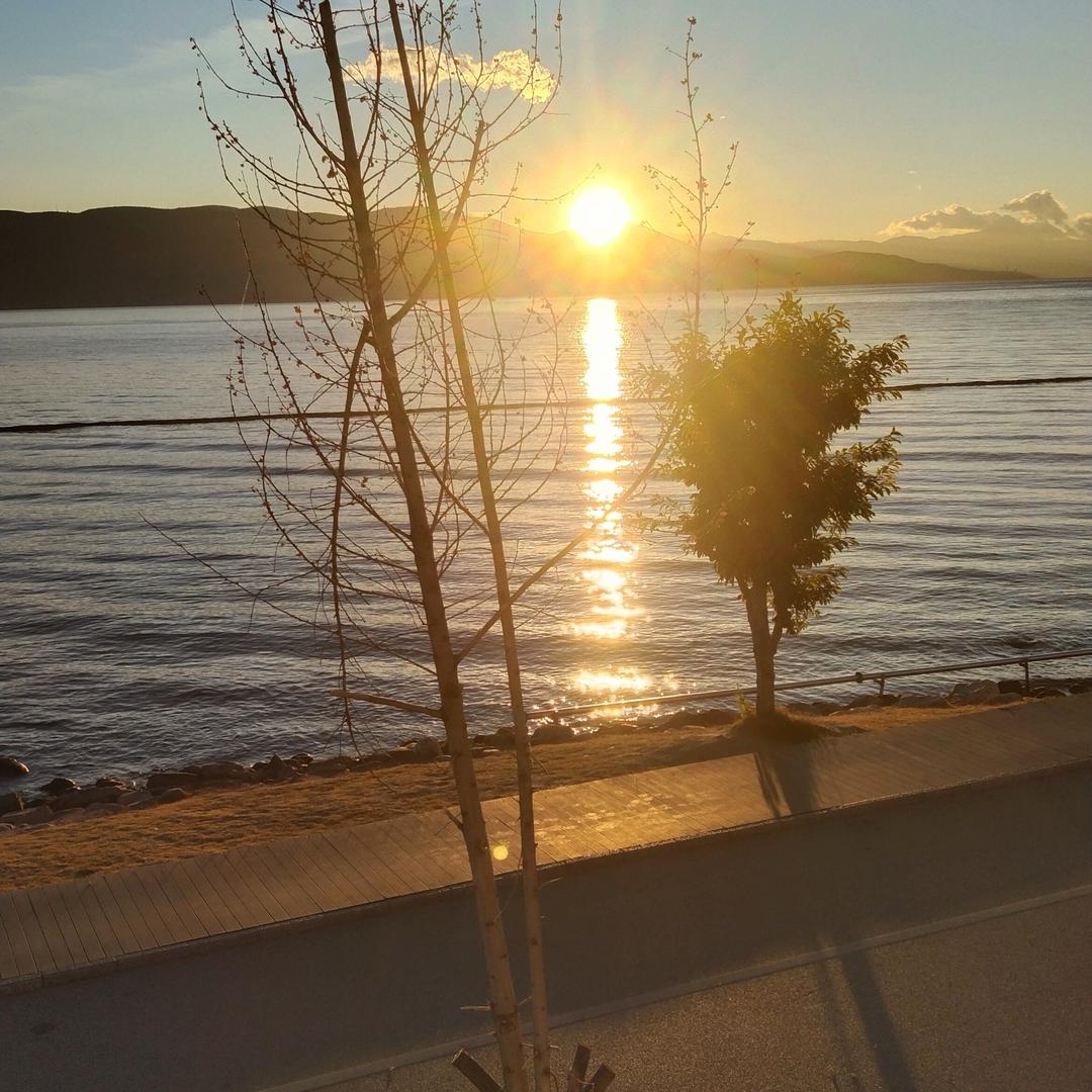 小妖精（有关必回）