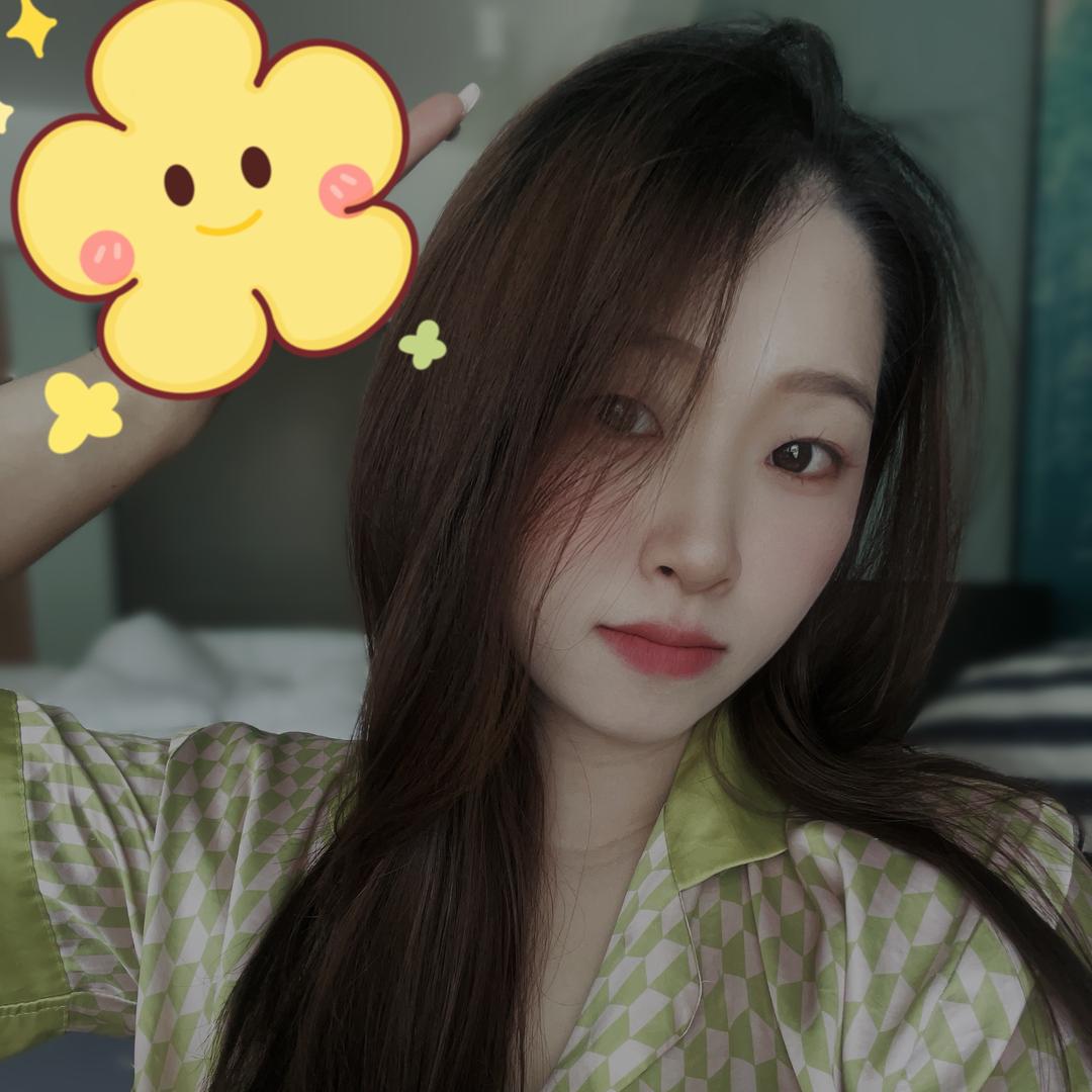 会飞的小笨象（现货号）