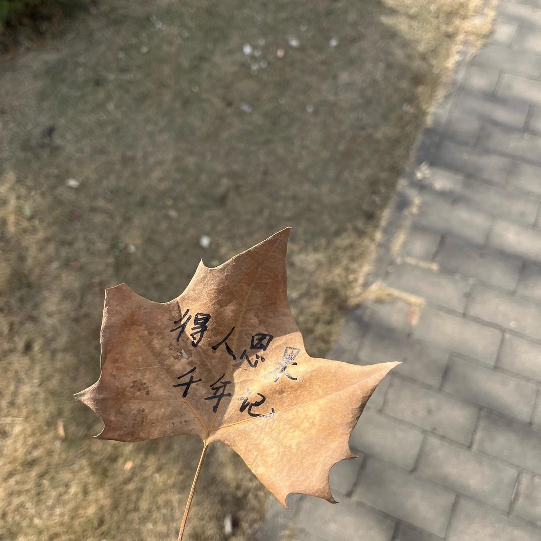 牧童.