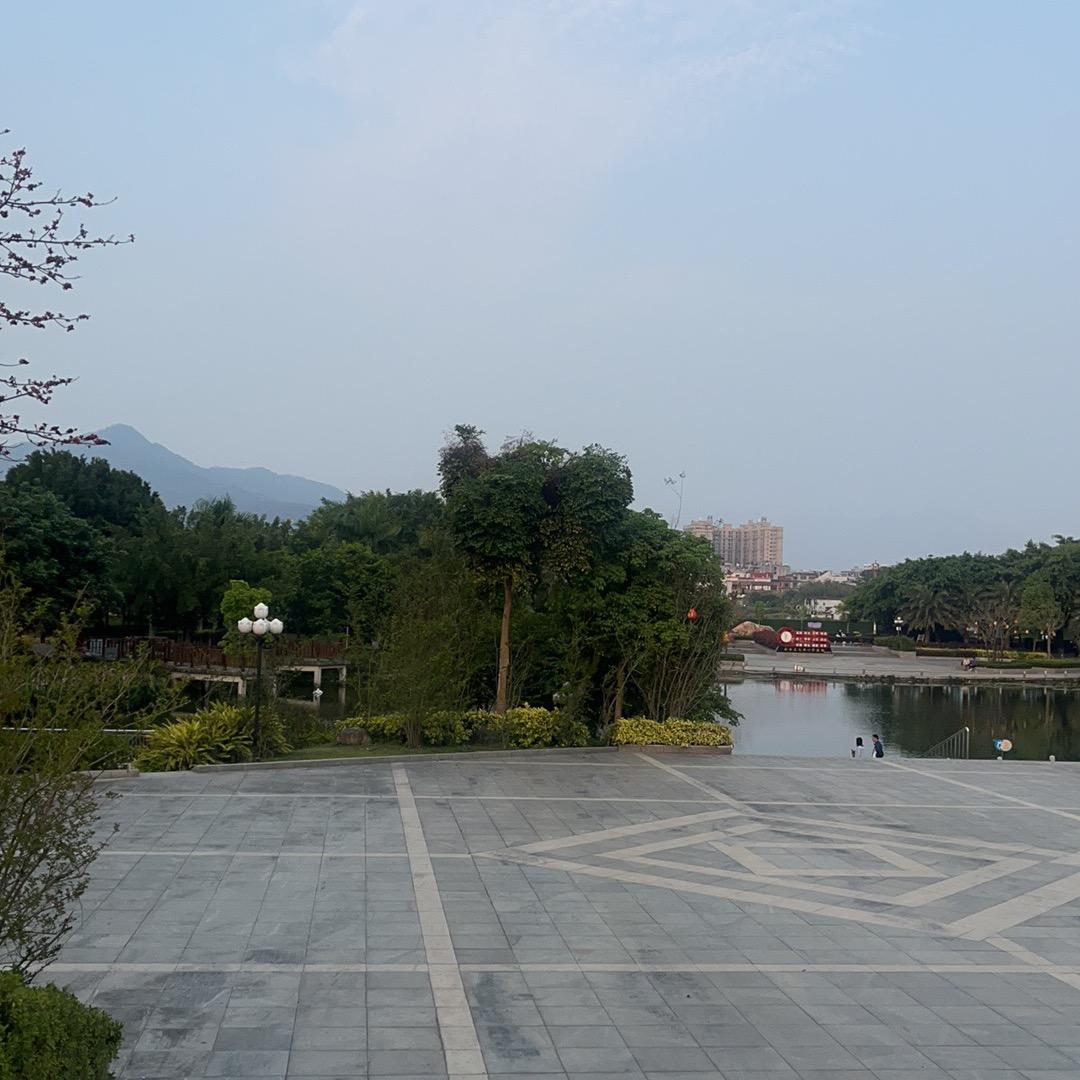 信乐弟