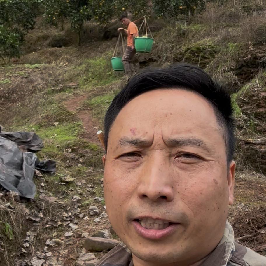 大山里的发发哥