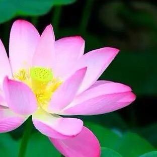 刘水金百货日用品商行