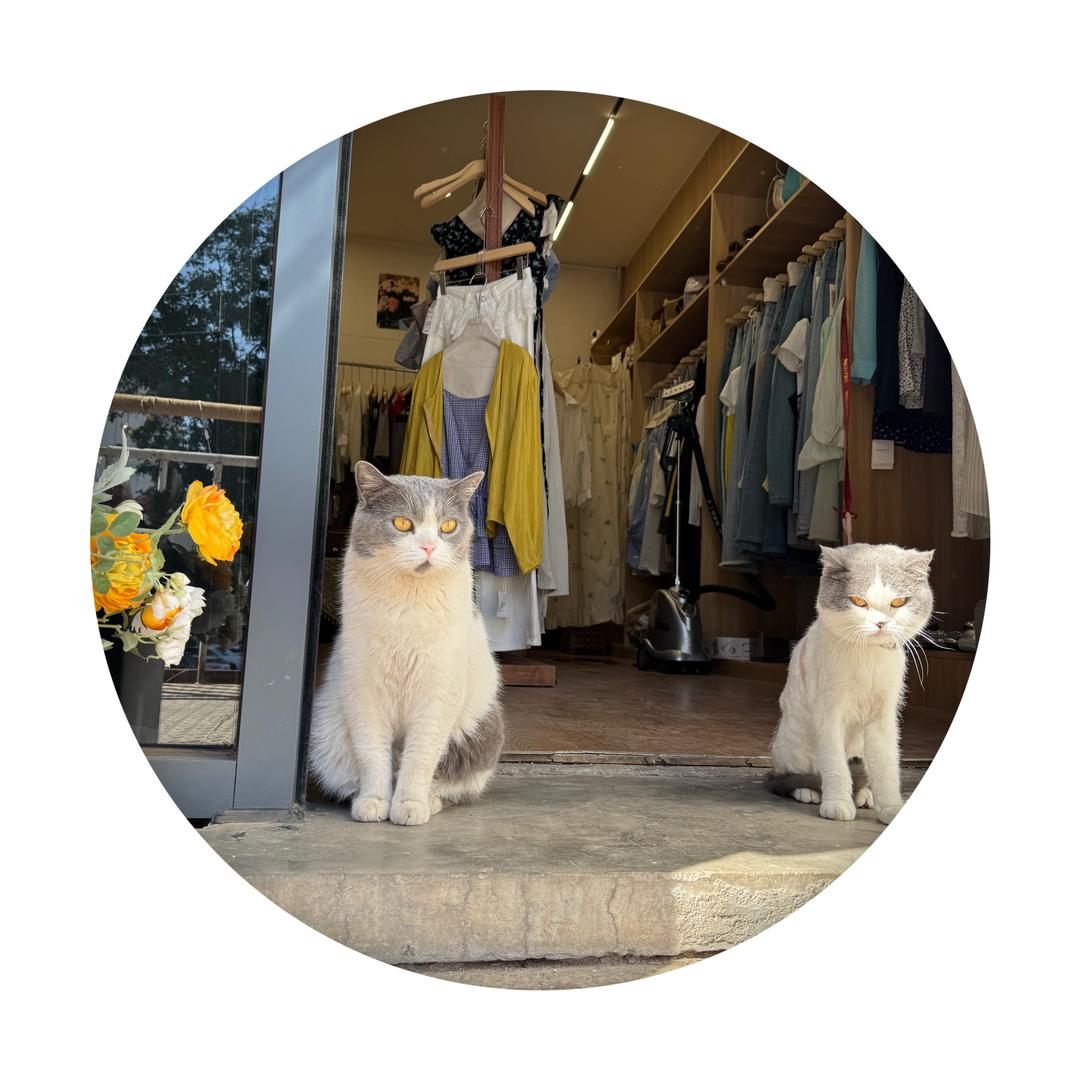 春夏秋冬·（新店已开业）