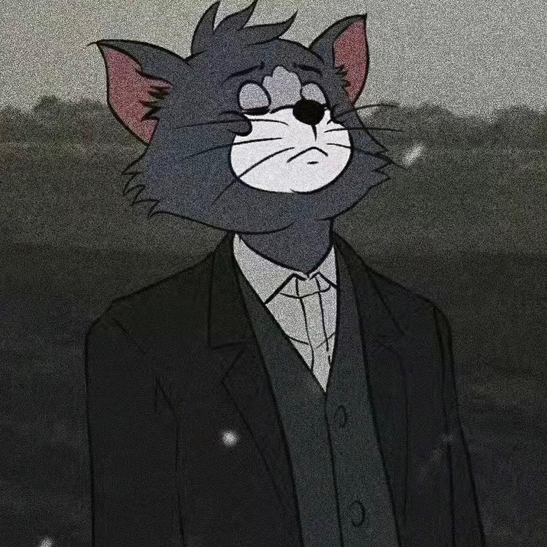 反方向的猫
