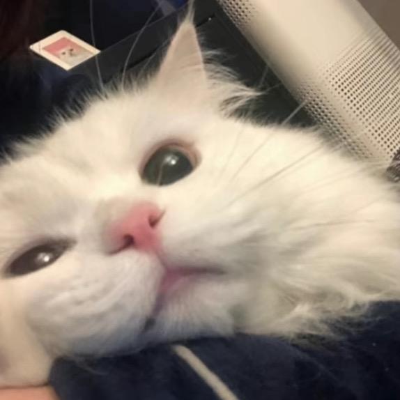 you
