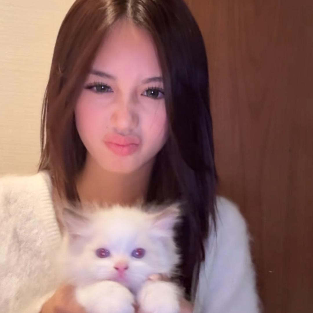 奶酪被谁偷吃了